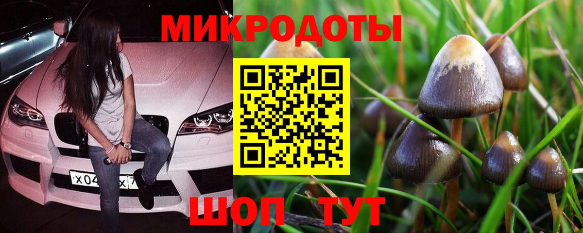 Галлюциногенные грибы Magic Shrooms  Вход с VPN  Армавир 
